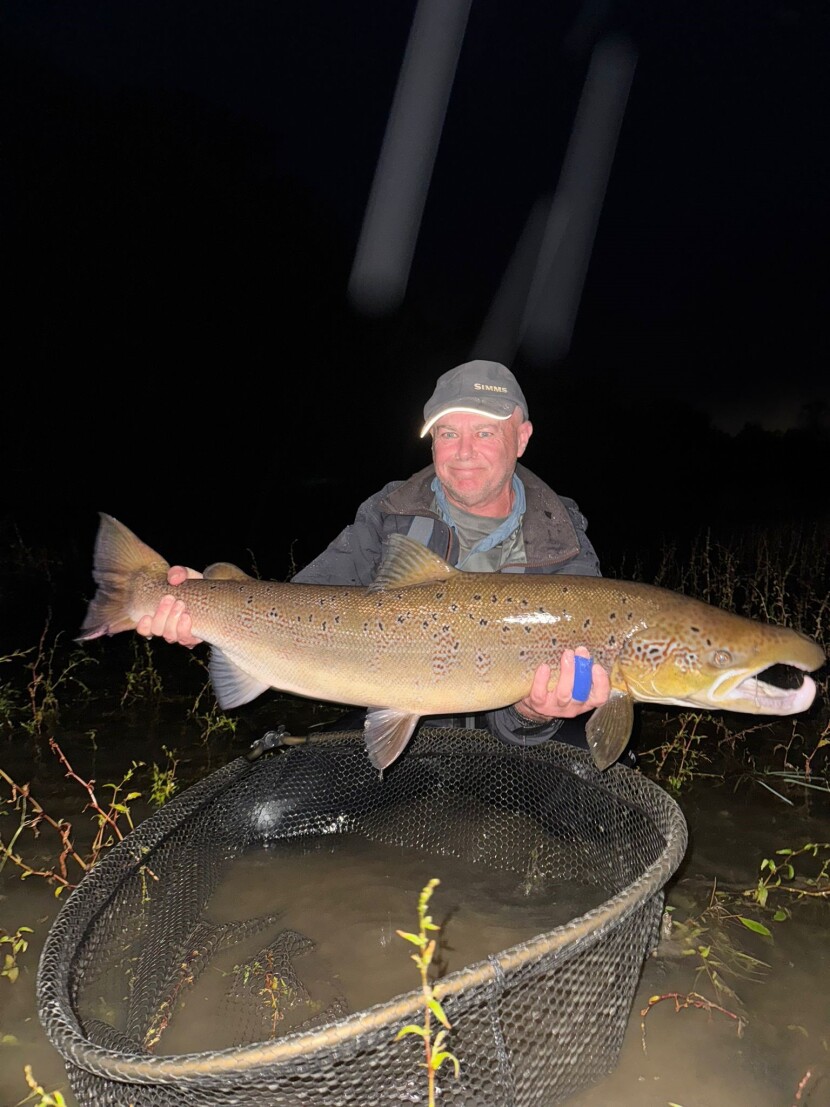 Towy salmon
